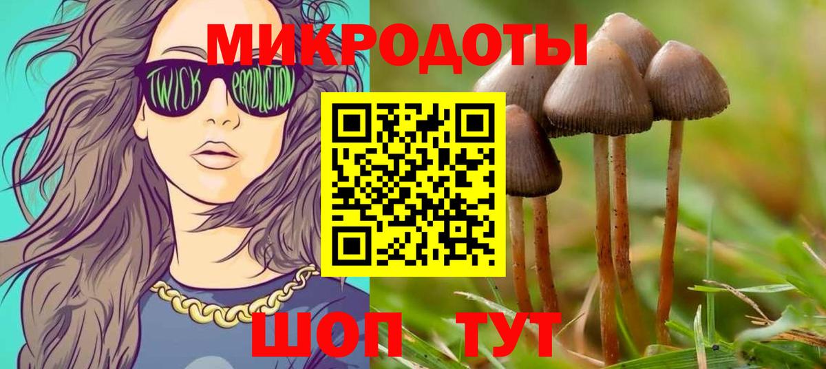 Галлюциногенные грибы мицелий Пушкино